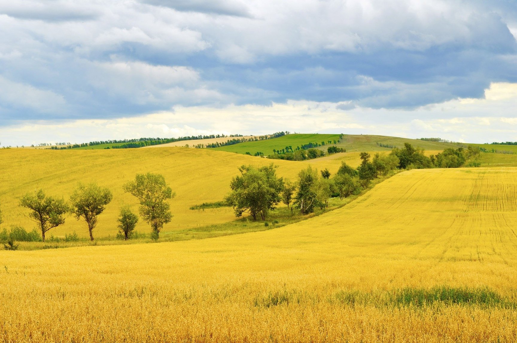 Farmland Field Landscape Background 